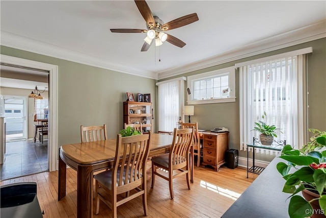 117 Proctor Blvd, Utica, NY 13501 - dining room with light wood-type flooring, ceiling fan, and plenty of natural light