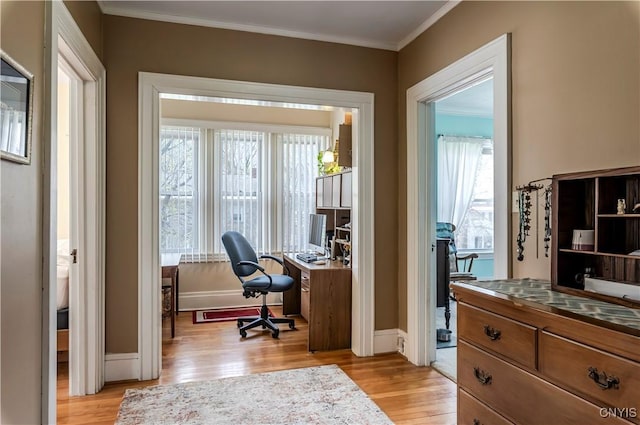 117 Proctor Blvd, Utica, NY 13501 - office space with a healthy amount of sunlight, light wood-type flooring, and ornamental molding