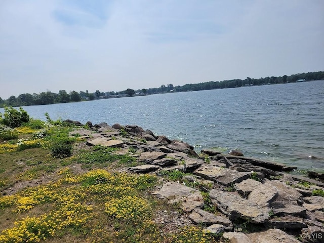 28278 Stony Point Rd, Cape Vincent, NY 13618 - photo 10