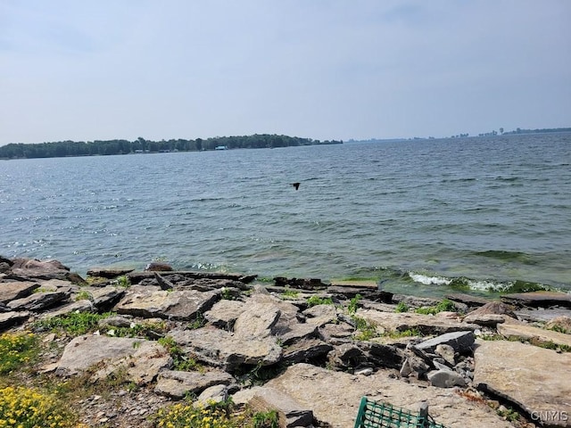 28278 Stony Point Rd, Cape Vincent, NY 13618 - photo 11