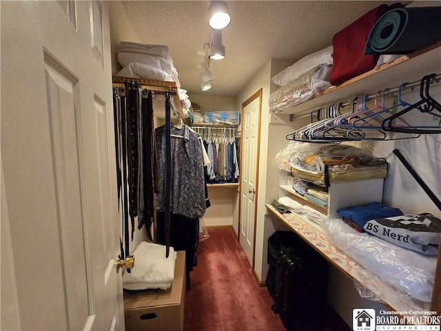 spacious closet featuring dark carpet