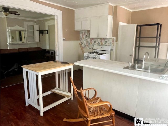 kitchen with white gas range oven, ceiling fan, ornamental molding, and a sink