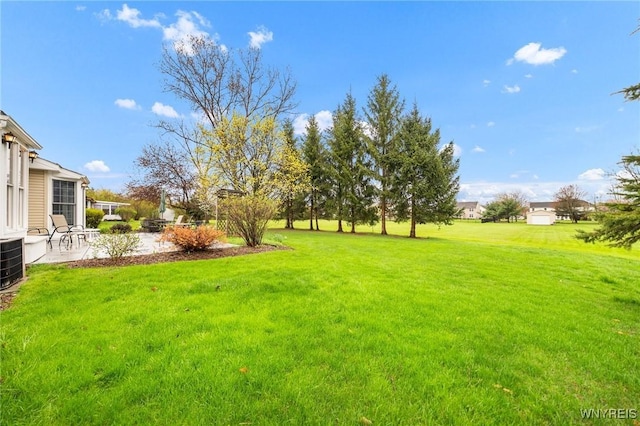 view of yard featuring a patio