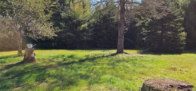 00 Furman Rd Unit 42, Boonville, NY 13309