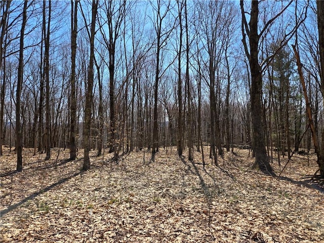 LOT25 Kara Ln, Bovina, NY 13740