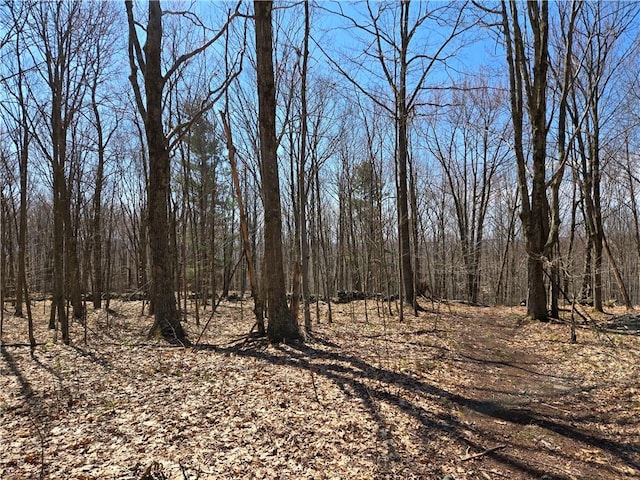 LOT25 Kara Ln, Bovina, NY 13740