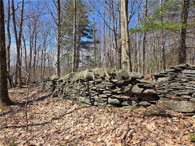 LOT25 Kara Ln, Bovina, NY 13740