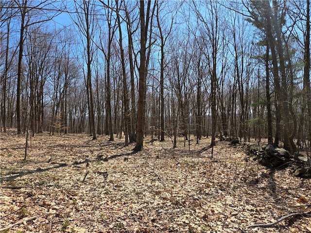 LOT25 Kara Ln, Bovina, NY 13740
