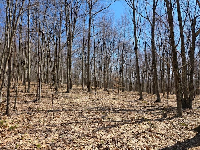 LOT25 Kara Ln, Bovina, NY 13740