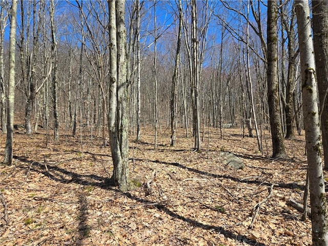 LOT25 Kara Ln, Bovina, NY 13740