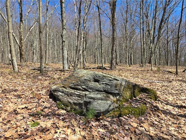 LOT25 Kara Ln, Bovina, NY 13740