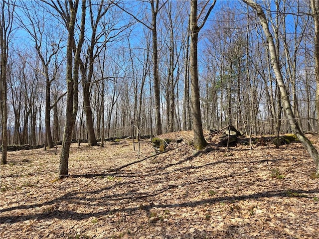 LOT25 Kara Ln, Bovina, NY 13740
