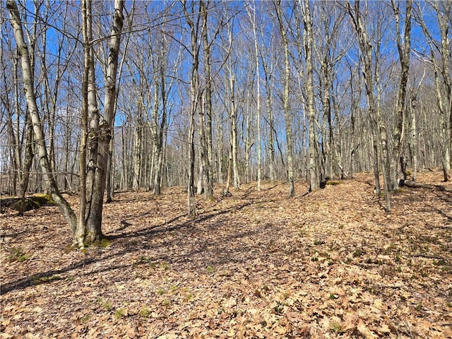 LOT25 Kara Ln, Bovina, NY 13740