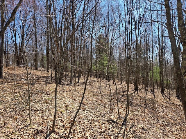 LOT25 Kara Ln, Bovina, NY 13740