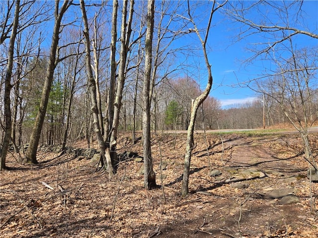 LOT25 Kara Ln, Bovina, NY 13740