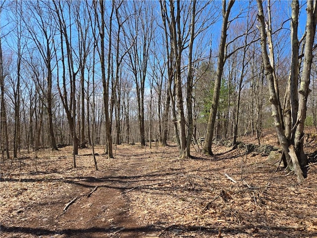 LOT25 Kara Ln, Bovina, NY 13740