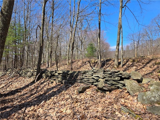 LOT25 Kara Ln, Bovina, NY 13740