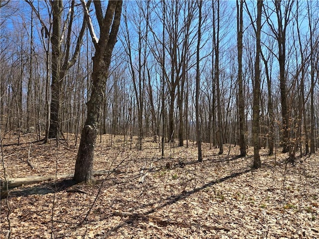 LOT25 Kara Ln, Bovina, NY 13740