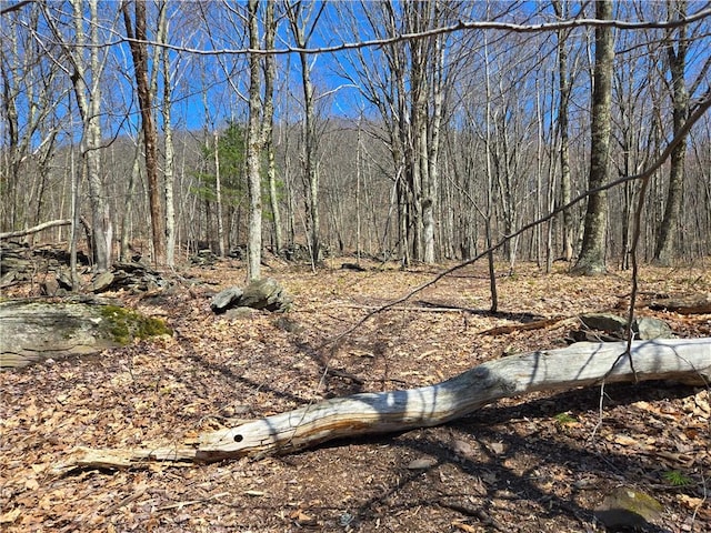 LOT25 Kara Ln, Bovina, NY 13740