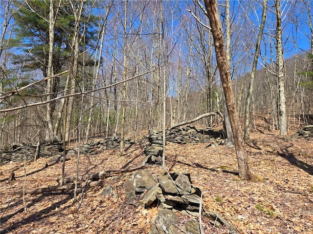 LOT25 Kara Ln, Bovina, NY 13740