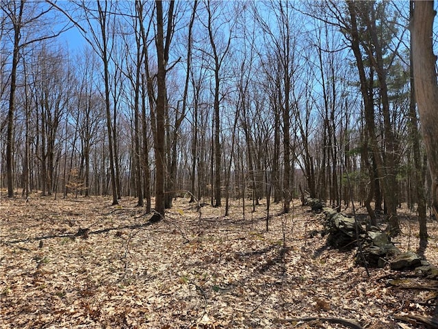 LOT25 Kara Ln, Bovina, NY 13740