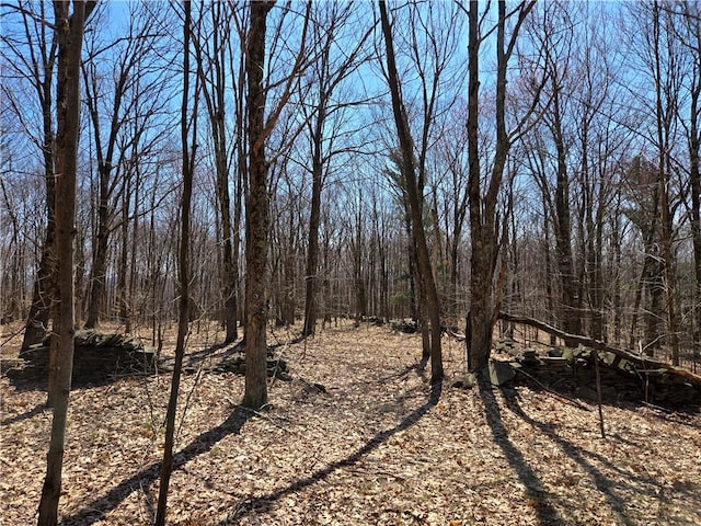 LOT25 Kara Ln, Bovina, NY 13740