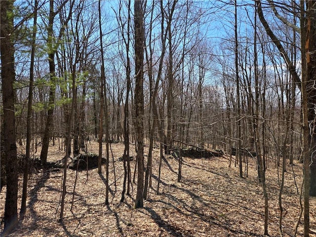 LOT25 Kara Ln, Bovina, NY 13740