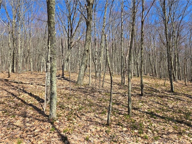 LOT25 Kara Ln, Bovina, NY 13740