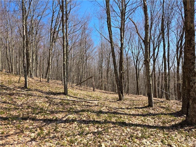 LOT25 Kara Ln, Bovina, NY 13740