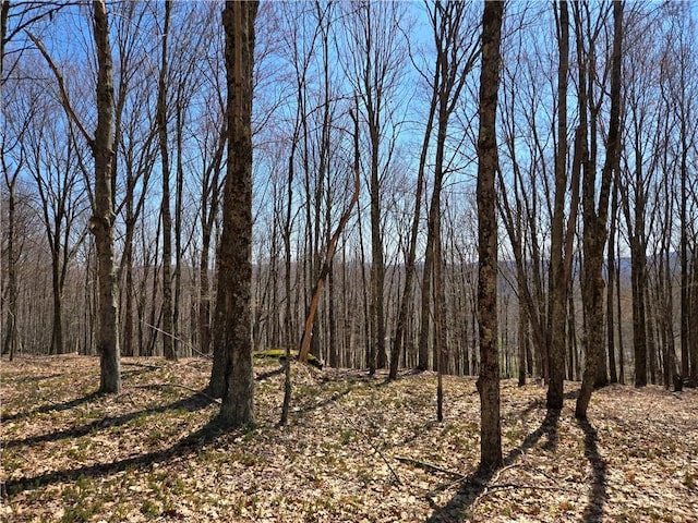 LOT25 Kara Ln, Bovina, NY 13740