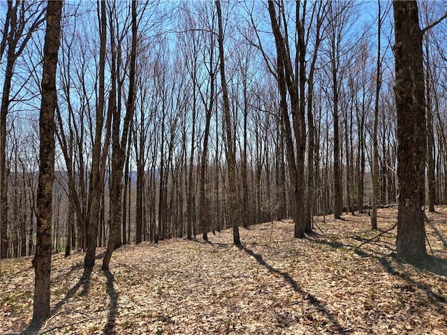 LOT25 Kara Ln, Bovina, NY 13740