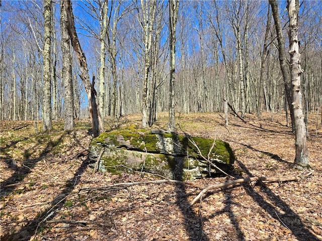 LOT25 Kara Ln, Bovina, NY 13740