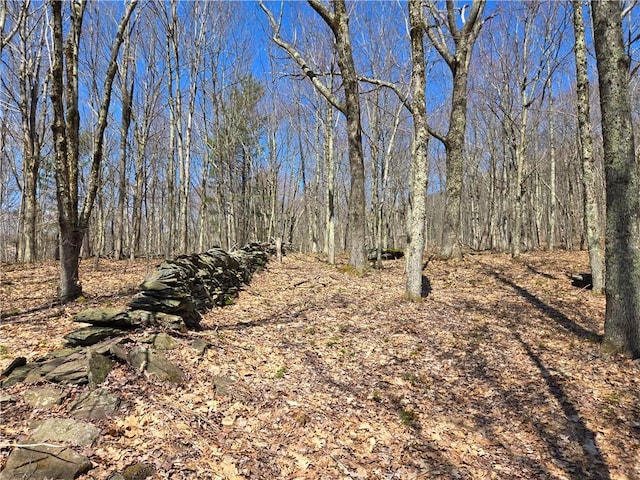 LOT25 Kara Ln, Bovina, NY 13740