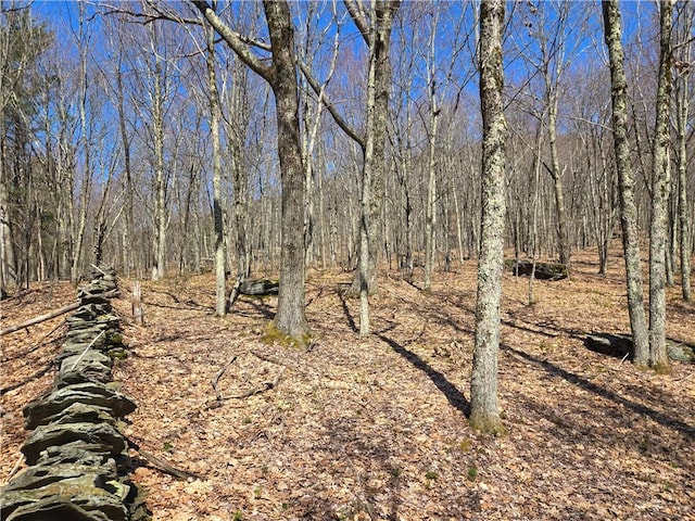 LOT25 Kara Ln, Bovina, NY 13740