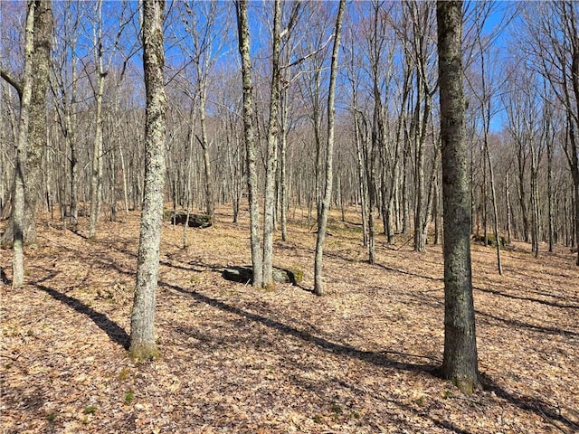 LOT25 Kara Ln, Bovina, NY 13740