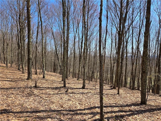 LOT25 Kara Ln, Bovina, NY 13740