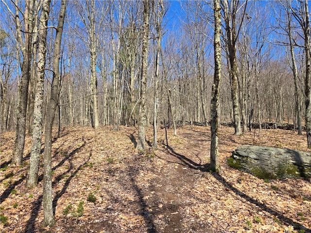 LOT25 Kara Ln, Bovina, NY 13740