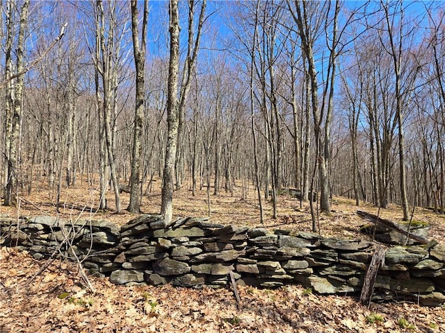 LOT25 Kara Ln, Bovina, NY 13740