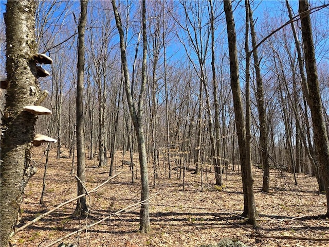 LOT25 Kara Ln, Bovina, NY 13740