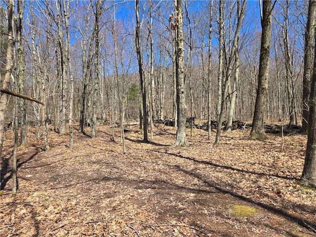LOT25 Kara Ln, Bovina, NY 13740