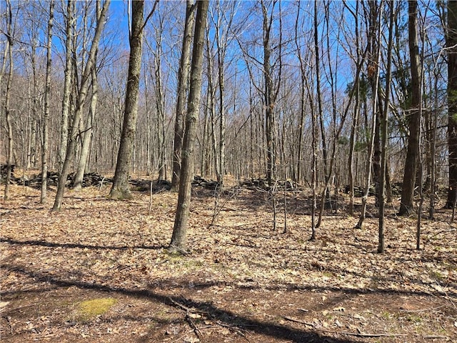LOT25 Kara Ln, Bovina, NY 13740