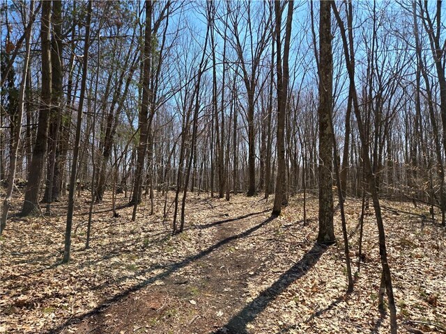 LOT25 Kara Ln, Bovina, NY 13740