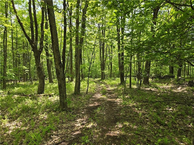 LOT25 Kara Ln, Bovina, NY 13740