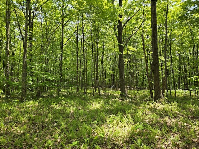 LOT25 Kara Ln, Bovina, NY 13740