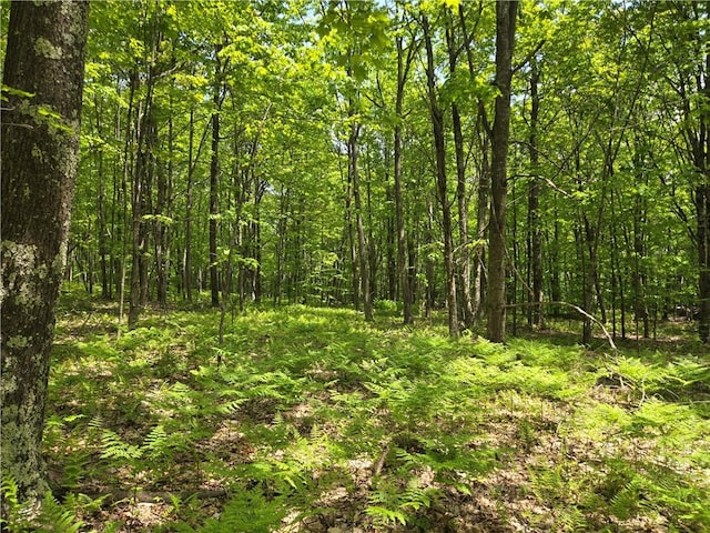 LOT25 Kara Ln, Bovina, NY 13740
