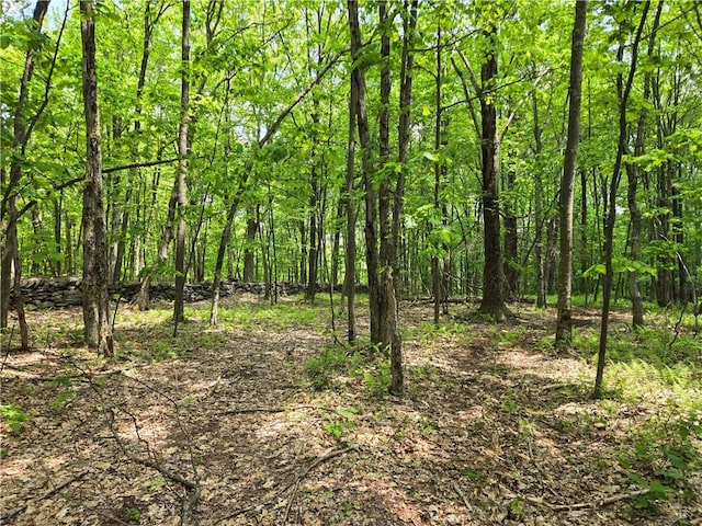 LOT25 Kara Ln, Bovina, NY 13740