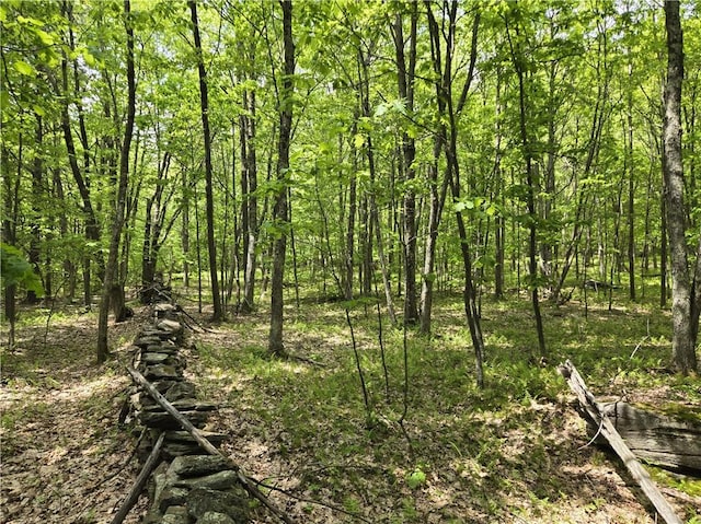 LOT25 Kara Ln, Bovina, NY 13740