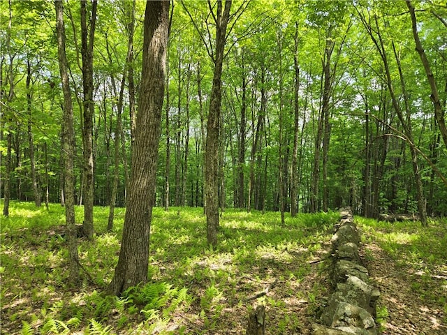 LOT25 Kara Ln, Bovina, NY 13740