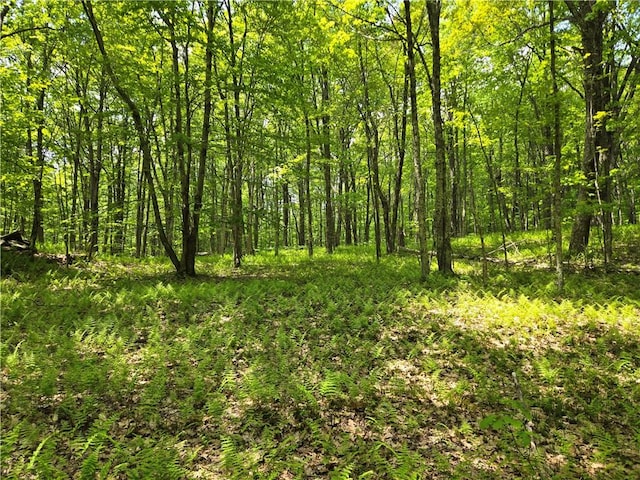 LOT25 Kara Ln, Bovina, NY 13740