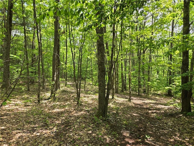 LOT25 Kara Ln, Bovina, NY 13740